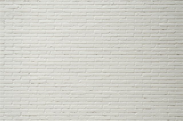 Comment réussir la décoration de son mur extérieur ? 