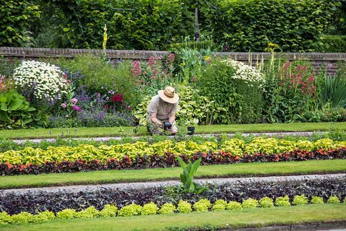 Quelles sont les qualités qu’un bon jardinier doit avoir ?