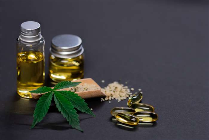 Les grossistes de CBD en Hollande : ce qu'il faut savoir