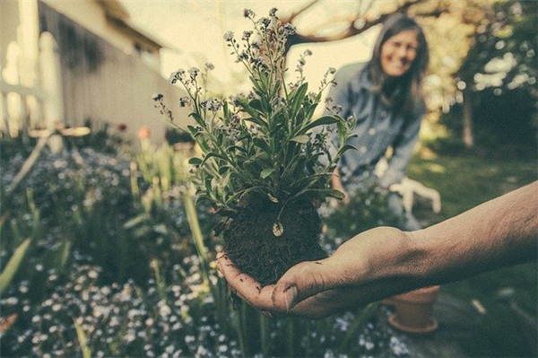 Comment bien débuter en jardinage ?