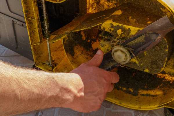 Trouver un élagueur à Château-Gontier-sur-Mayenne