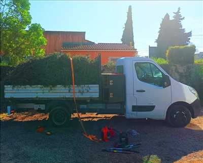 Photo ID 1033 avec Services Gazeaux pour le thème : élagueur d’arbre dans la région Provence-Alpes-Côte d'Azur
