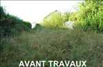 Photo débroussailleur n°1035 dans le département 71 par LARGE FABIEN