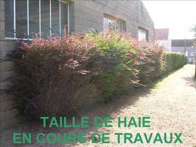 Exemple : tailleur de haies avec LARGE FABIEN à Montceau-les-Mines