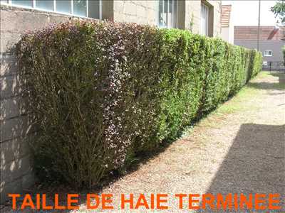 Photo ID 1041 avec LARGE FABIEN pour l’activité : tailleur de haies dans la Saône et Loire