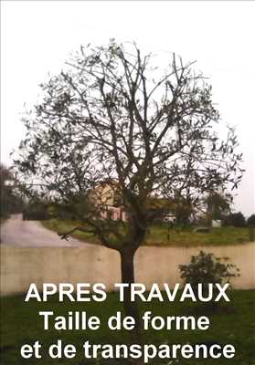 tailleur de haies dans la région Bourgogne-Franche-Comté