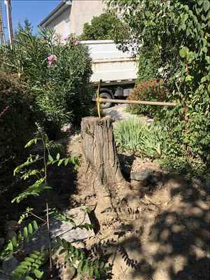 Photo élagueur d’arbre n°1064 zone Haute-Garonne par VertBotté