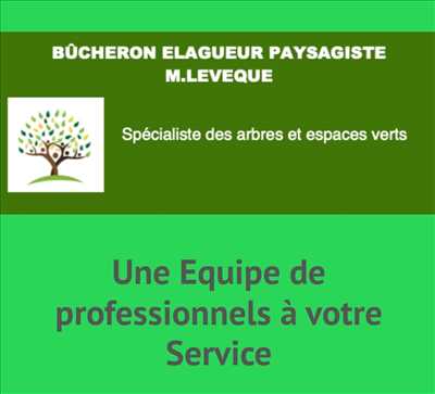 Exemple élagueur d’arbre n°1105 zone Somme par Mr leveque 