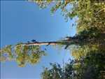 Photo élagueur d’arbre n°1106 à Abbeville par Mr leveque 