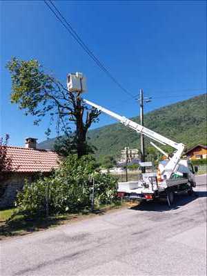 Photo élagueur d’arbre n°1111 dans le département 80 par Mr leveque 