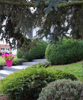Exemple tailleur de haies n°1137 zone Nord par VANO PAYSAGE