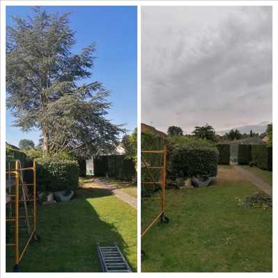 Photo élagueur d’arbre n°1170 à Calais par Manolo