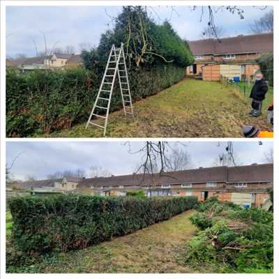 Photo élagueur d’arbre n°1171 dans le département 62 par Manolo