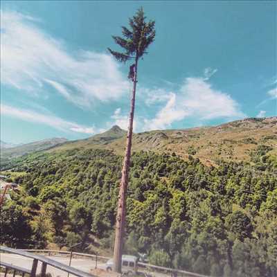 Exemple élagueur d’arbre n°1181 zone Savoie par Antoine