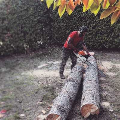 Photo élagueur d’arbre n°1182 à Chambéry par Antoine