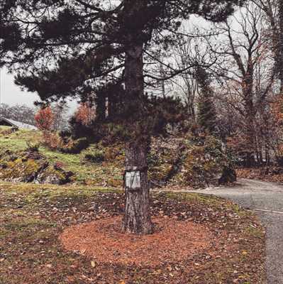 Exemple élagueur d’arbre n°1185 zone Savoie par Antoine