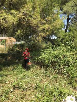 Photo débroussailleur n°1202 à Toulouse par Camir