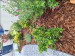 Exemple paysagiste n°1241 zone Gironde par Les Jardins Bordelais
