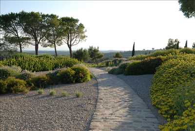 Photo Paysagiste n°140 zone Hérault par Jean-Jacques 