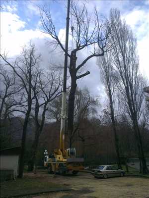 Photo Abattage d’arbre n°175 dans le département 38 par Victor