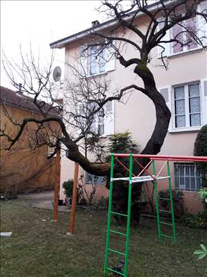 Photo Elagage d’arbre n°176 zone Isère par Victor