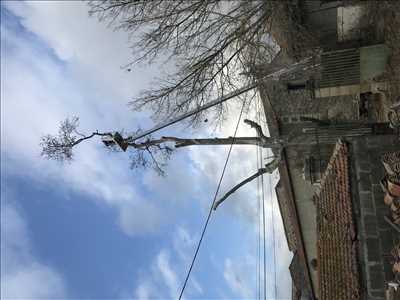 Photo Abattage d’arbre n°19 dans le département 34 par Jordan