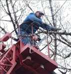 Exemple Abattage d’arbre n°193 zone Alpes-Maritimes par Peter     