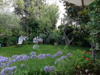 Photo Paysagiste n°219 dans le département 83 par Cocoon Jardin