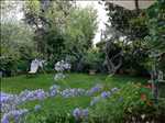 Photo Paysagiste n°219 dans le département 83 par Cocoon Jardin