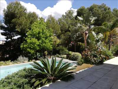 Photo Jardinier n°220 zone Var par Cocoon Jardin