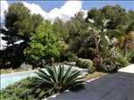 Photo Jardinier n°220 zone Var par Cocoon Jardin