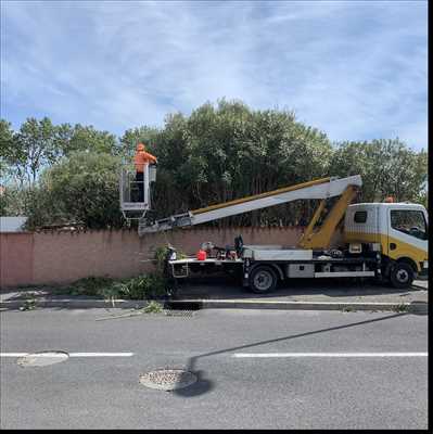 Exemple Elagage d’arbre n°225 zone Hérault par Charles
