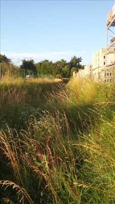 Exemple Débroussaillage n°273 zone Gironde par CONCEPT PAYSAGER