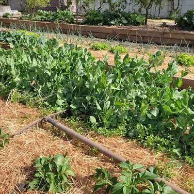 Photo Jardinier n°288 zone Loire-Atlantique par Alexandre