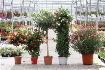 Photo n°301 : travaux d'extérieur par SARL HORTI SOLOGNE