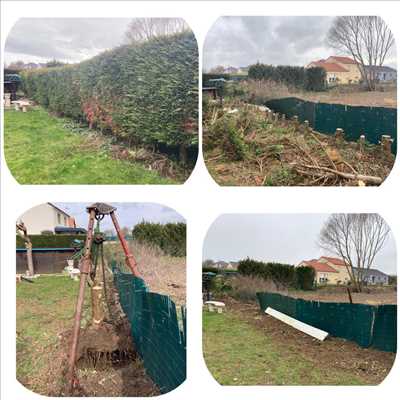 Photo Elagage d’arbre n°312 zone Meurthe-et-Moselle par Extrême élagage