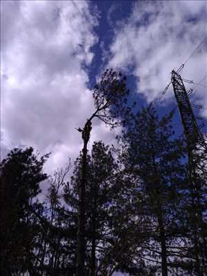 Exemple Elagage d’arbre n°341 zone Isère par Boris