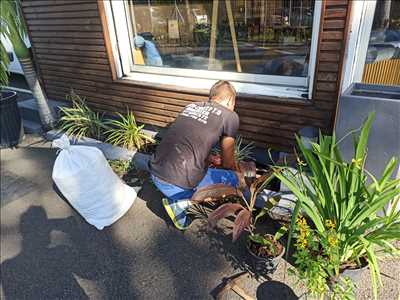 Exemple Paysagiste n°357 zone La Réunion par Mon Ti Jardin