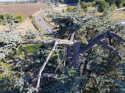 Photo 393 avec Charles pour la thématique : élagueur d’arbre dans la région Occitanie