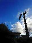 Photo Abattage d’arbre n°418 à Annecy par Haël