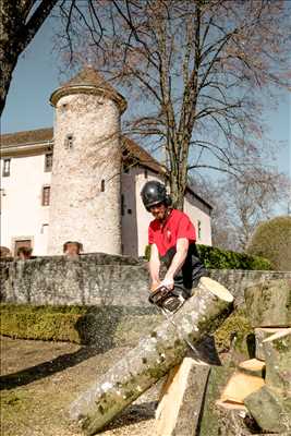 Photo Abattage d’arbre n°419 dans le département 74 par Haël