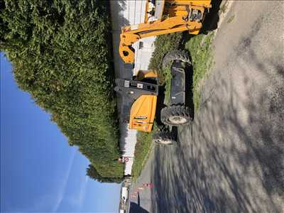 Photo Elagage d’arbre n°428 zone Somme par Georges