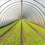 Exemple Jardinier n°445 zone Haut Rhin par Jardinerie Alternative - AUXINE