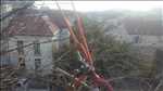 Exemple Elagage d’arbre n°45 zone Isère par Victor