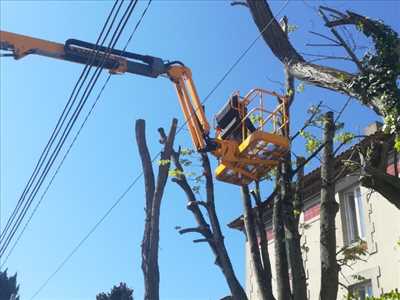 Photo ID 46 avec Armony Gardens pour le thème : élagueur d’arbre dans les Charentes-Maritimes