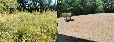 Photo 48 avec Armony Gardens pour la thématique : débroussailleur dans la région Nouvelle-Aquitaine