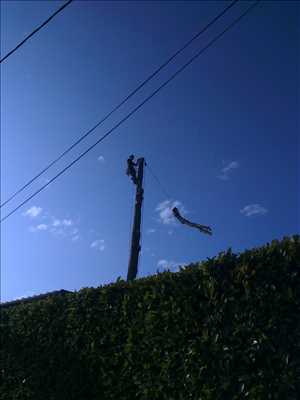 Photo Elagage d’arbre n°50 à Grenoble par Victor