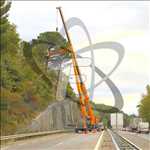 Photo Abattage d’arbre n°503 dans le département 84 par SARL FAYARD