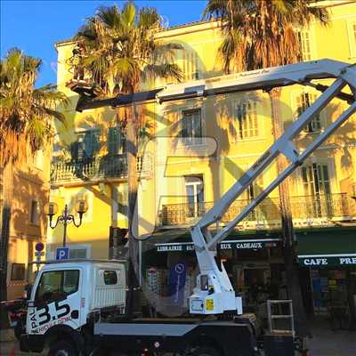 Photo Elagage d’arbre n°506 à L'Isle-sur-la-Sorgue par SARL FAYARD