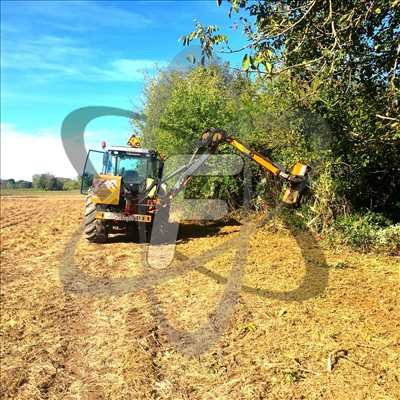 Exemple Débroussaillage n°513 zone Vaucluse par SARL FAYARD